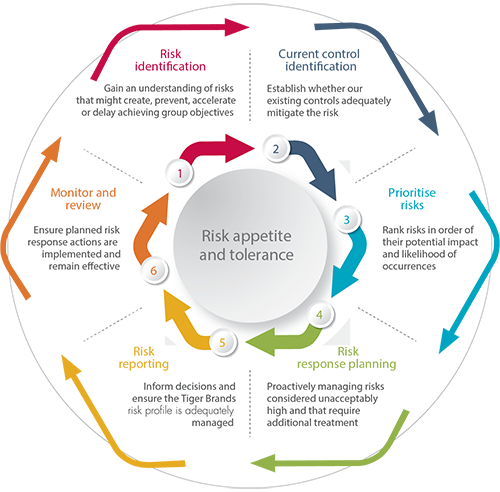 Risk appetite and tolerance